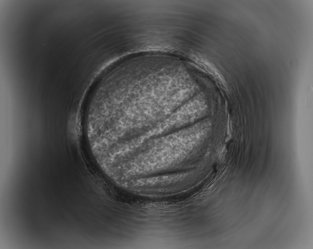 X0000092300628200710121447