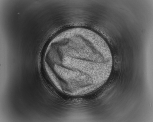 X0000092300631200710121447