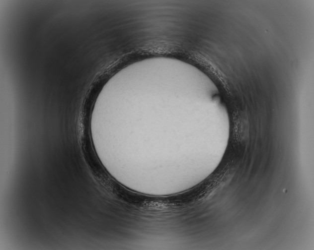 X0000092300635200710121448