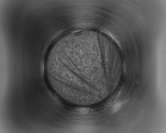 X0000092300637200710121448