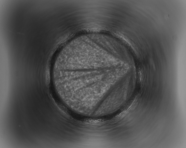 X0000092300638200710121448