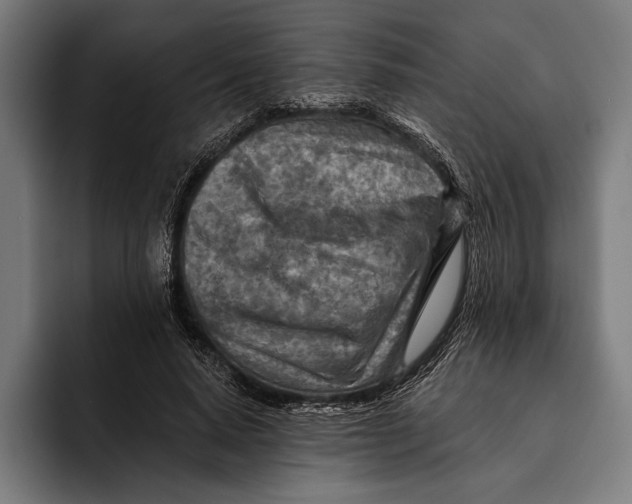 X0000092300640200710121448