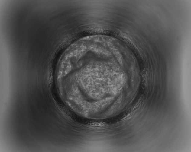 X0000092300642200710121448