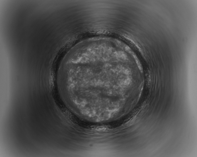 X0000092300643200710121448