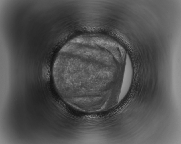 X0000092300644200710121448