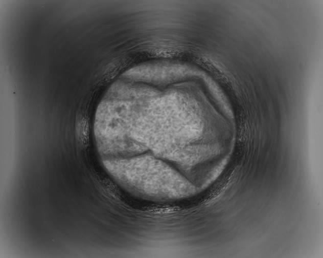 X0000092300646200710121448