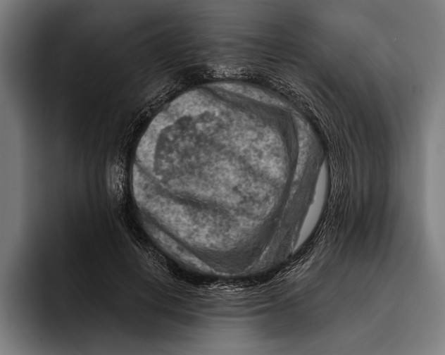 X0000092300648200710121448