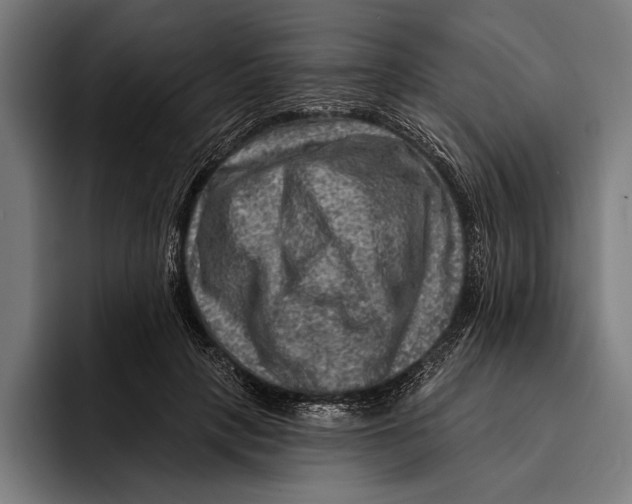 X0000092300649200710121448