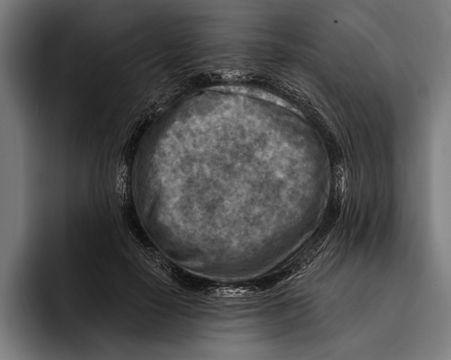 X0000092300650200710121448