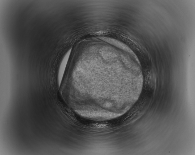 X0000092300651200710121448