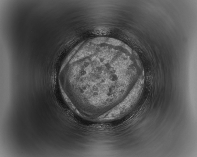 X0000092300652200710121448