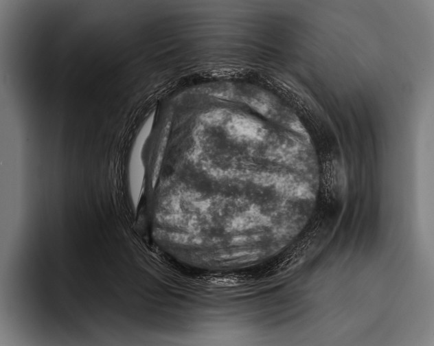 X0000092300653200710121448