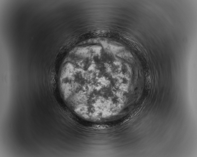 X0000092300654200710121448