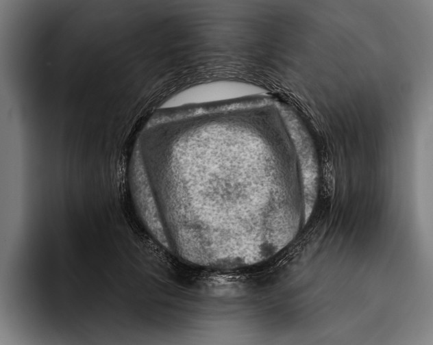 X0000092300657200710121448