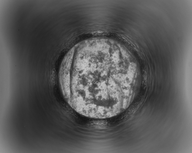 X0000092300659200710121448