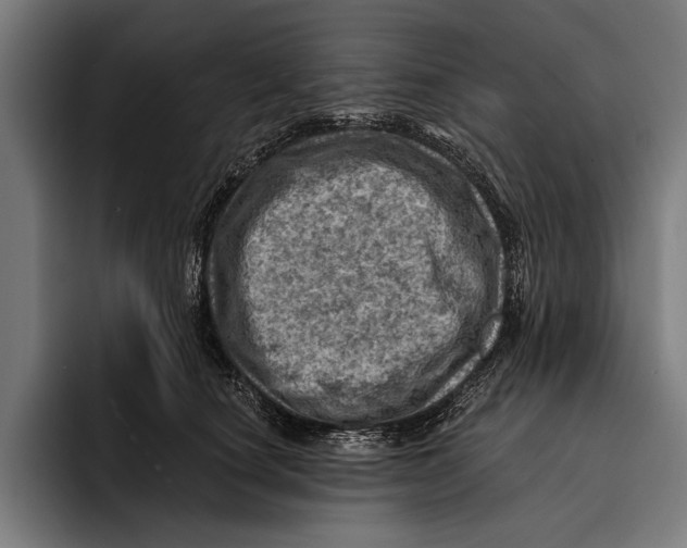 X0000092300660200710121448