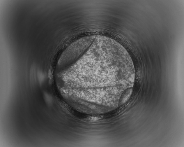 X0000092300662200710121448