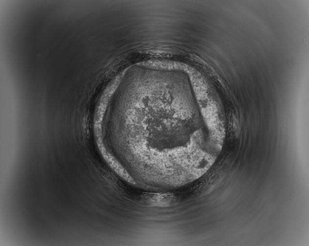 X0000092300663200710121448