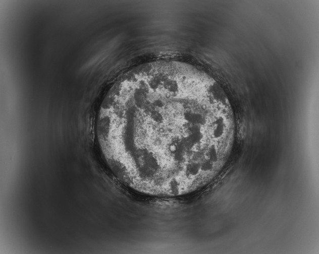 X0000092300666200710121448