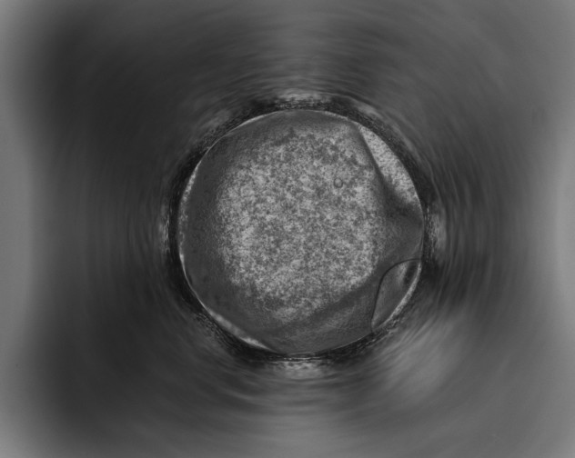 X0000092300668200710121448