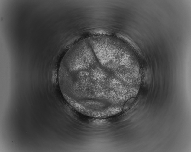 X0000092300669200710121448