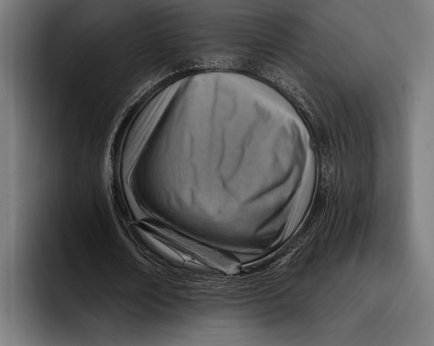 X0000092300674200710121447