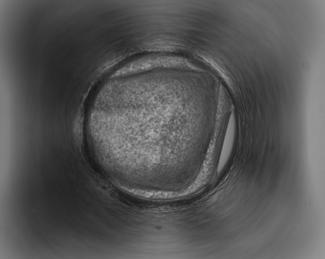 X0000092300675200710121447