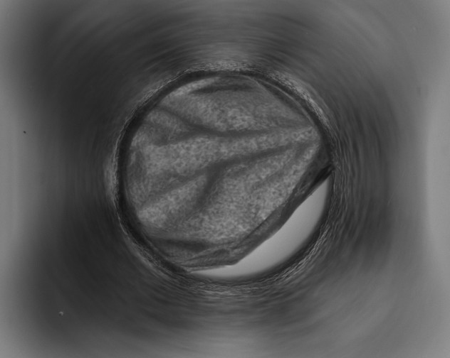 X0000092300677200710121447