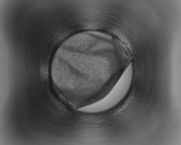 X0000092300681200710121447