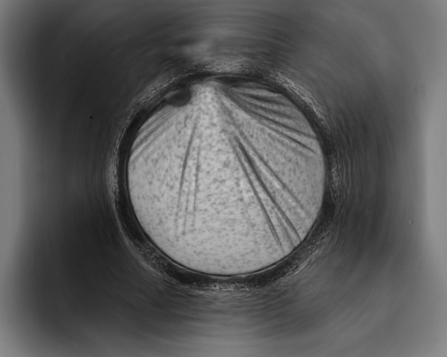 X0000092300682200710121447