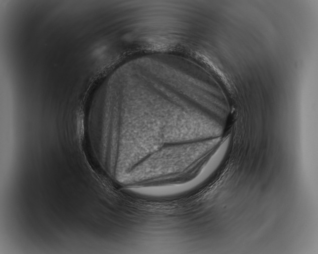 X0000092300685200710121447