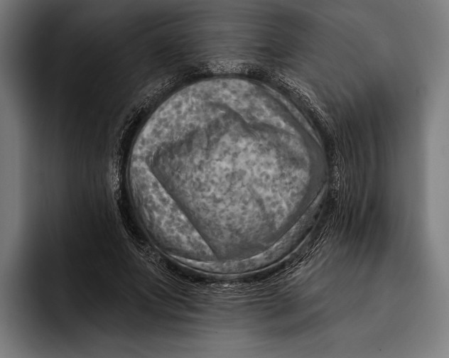 X0000092300687200710121447