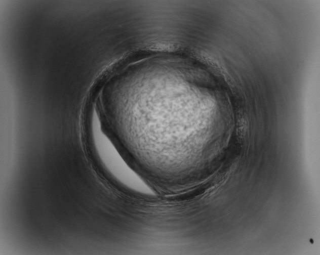 X0000092300688200710121447