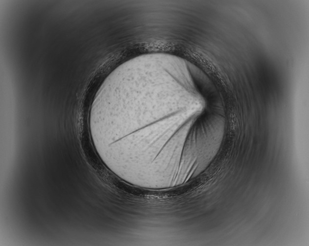 X0000092300690200710121447