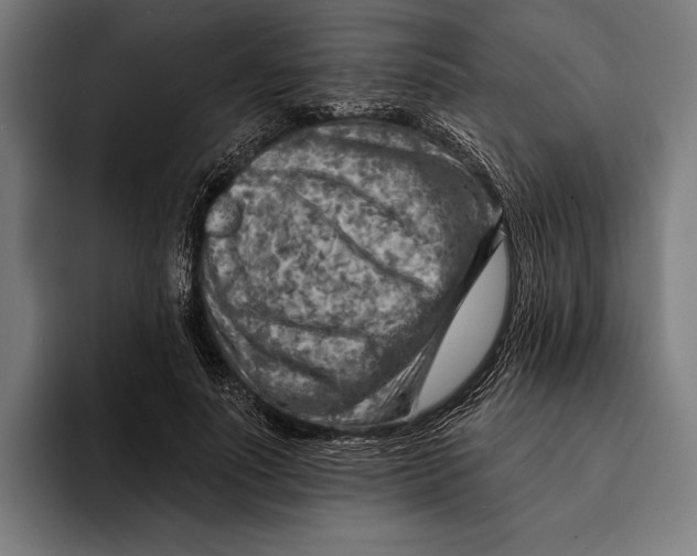 X0000092300691200710121447