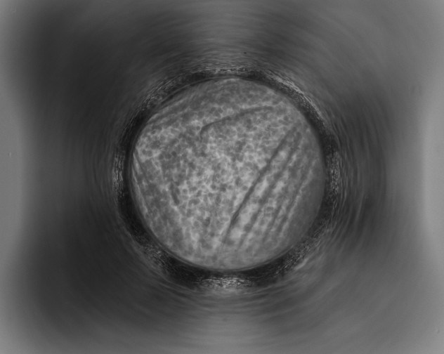 X0000092300695200710121447