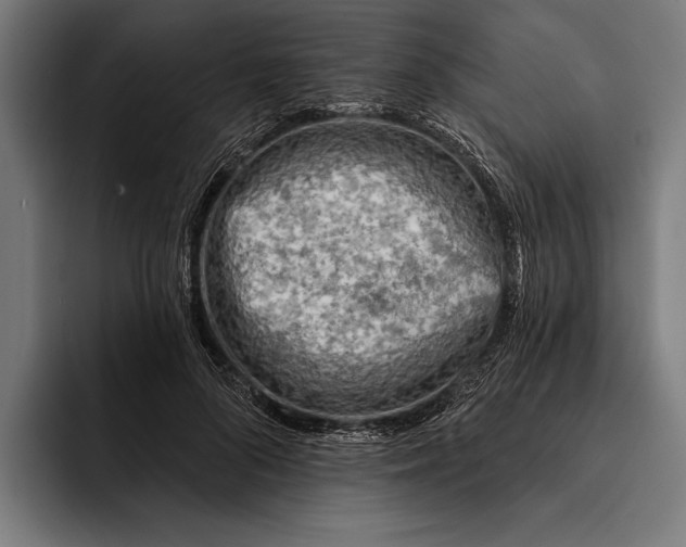 X0000092300696200710121447