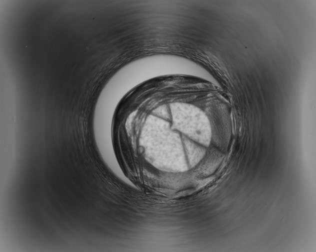 X0000092300697200710121447