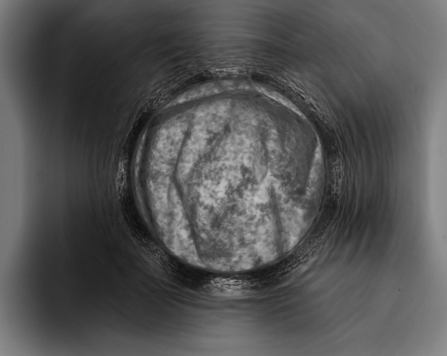 X0000092300699200710121447