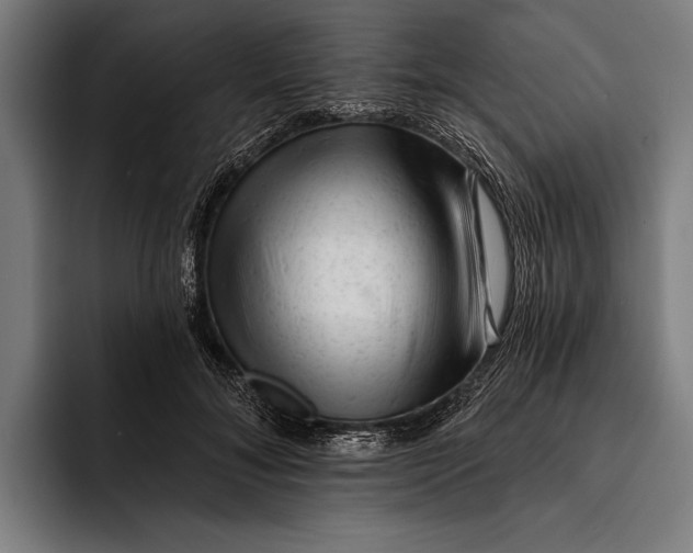 X0000092300700200710121447