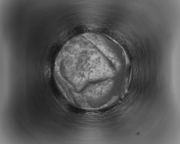 X0000092300703200710121447