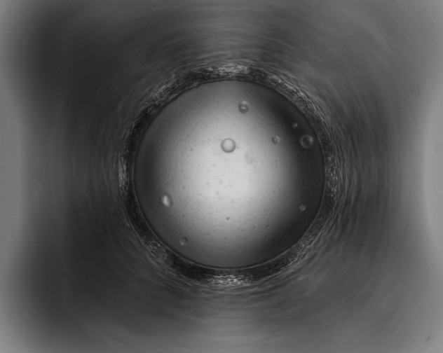 X0000092300704200710121447