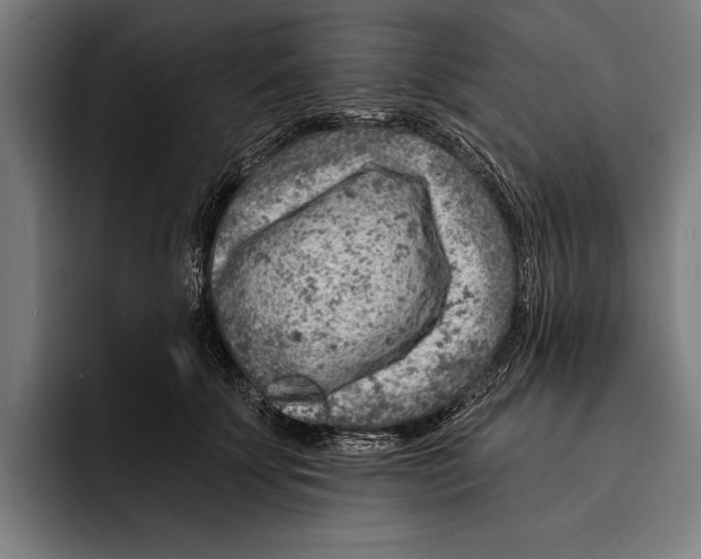 X0000092300707200710121447