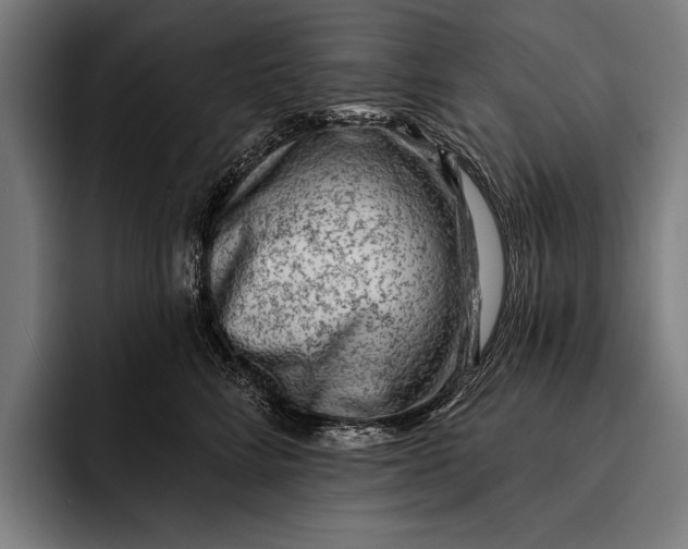 X0000092300712200710121447