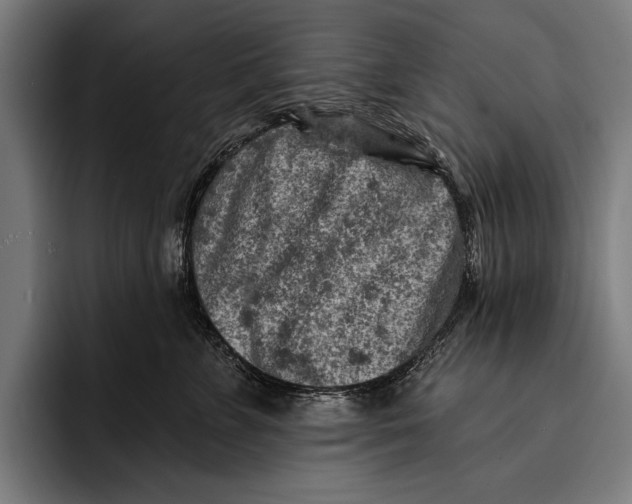 X0000092300715200710121447