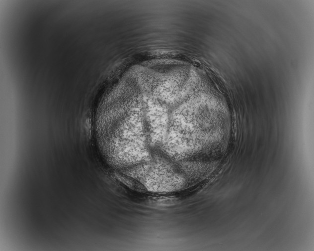 X0000092300716200710121447