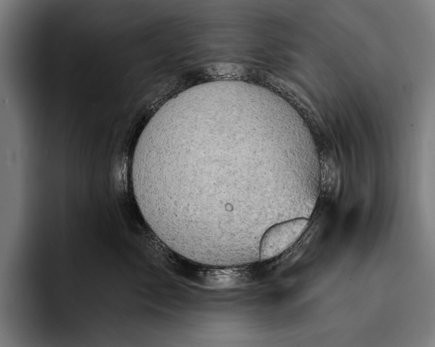 X0000092300717200710121447