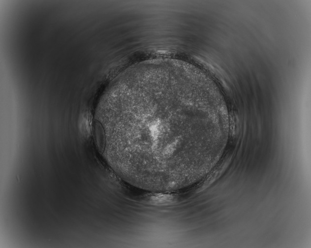 X0000092300718200710121447