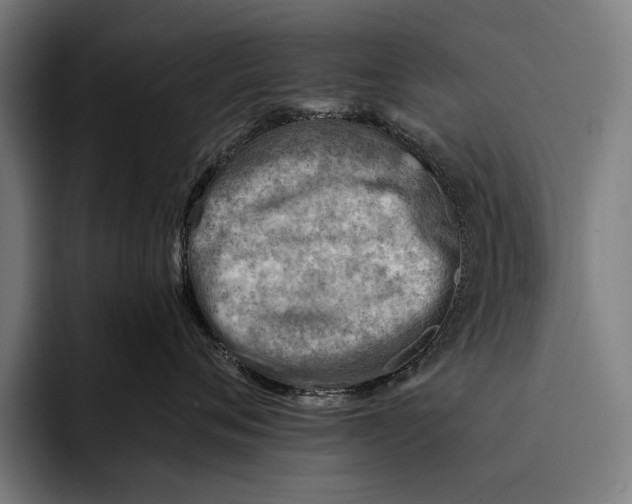 X0000092300720200710121447