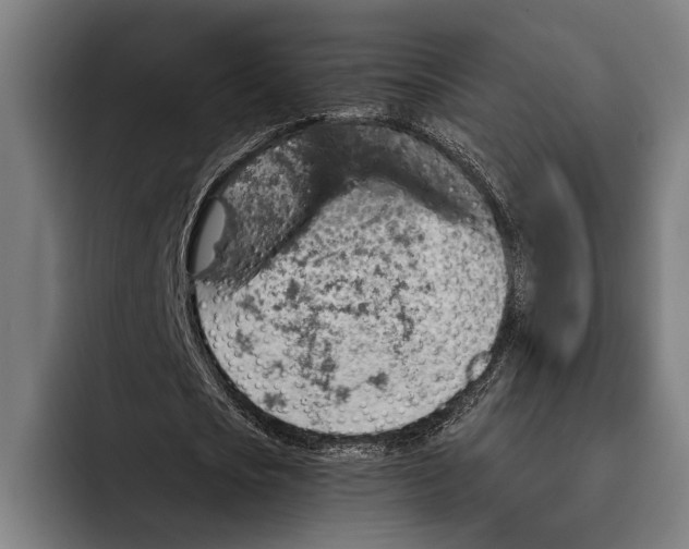 X0000092300721200710121446